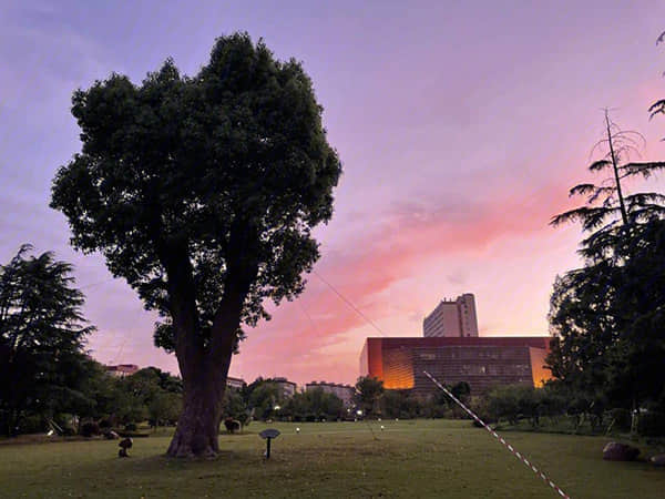 谷歌云正式官宣涨价 数据中心板块迎来密集利好催化