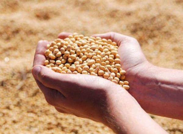 脑虎科技“超级工厂”预计2026年投产 脑机接口步入商业化落地加速期