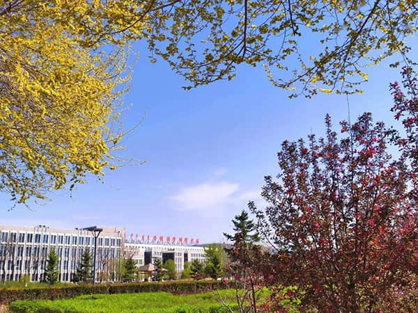 脑虎科技“超级工厂”预计2026年投产 脑机接口步入商业化落地加速期