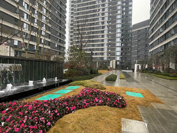 脑虎科技“超级工厂”预计2026年投产 脑机接口步入商业化落地加速期