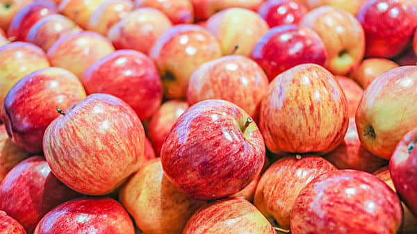 脑虎科技“超级工厂”预计2026年投产 脑机接口步入商业化落地加速期