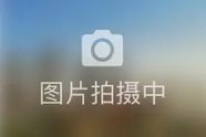 2026年8月第1周最受欢迎城市排名——杭州位居全国第72026年8月第1周最受欢迎城市排名——杭州位居全国第7